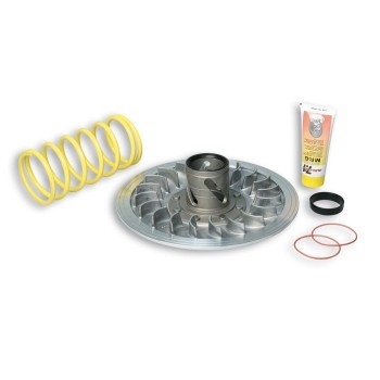 Correcteur de couple TMAX 500 Malossi