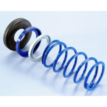 Ressort de contre variateur Polini TMAX