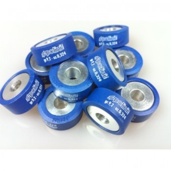 Galets Polini TMAX 500 01-11 (pour variateur Polini 12G)