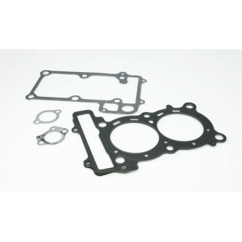 Pochette de joints Malossi ø 70 Cyl.Malossi TMAX 500 08-11