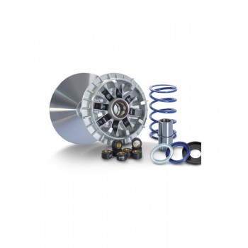 Variateur Polini EVOLUTION pour Tmax 560 Tmax 530