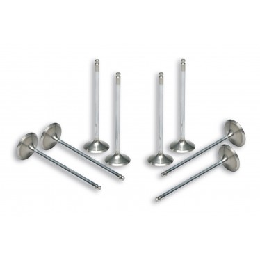 Soupapes Malossi Majorées TMAX 500 01-11