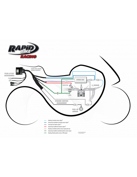 Boitier Rapid Bike Racing TMAX 560 22-24