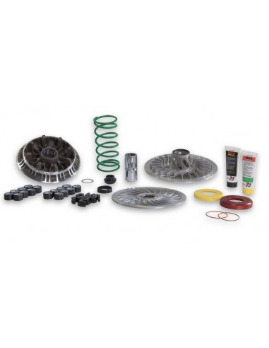 Kit variateur Over Range Malossi TMAX 530 17-19